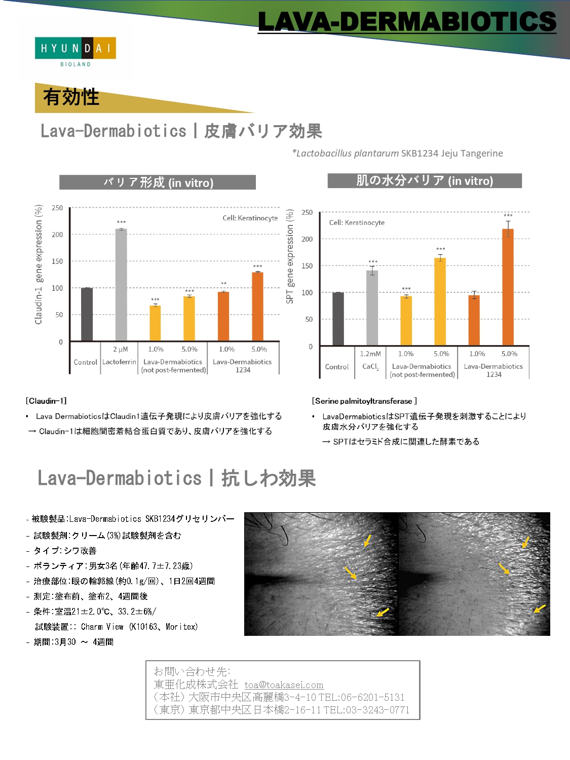 ニュース ーhyundai Bioland社製品情報を追加いたしましたー 東亜化成株式会社